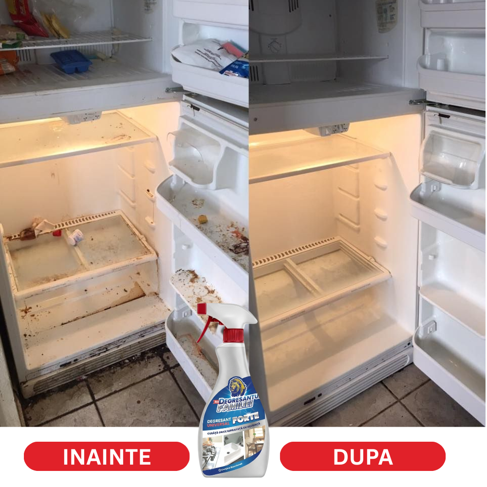 DEGRESANTI_13.png